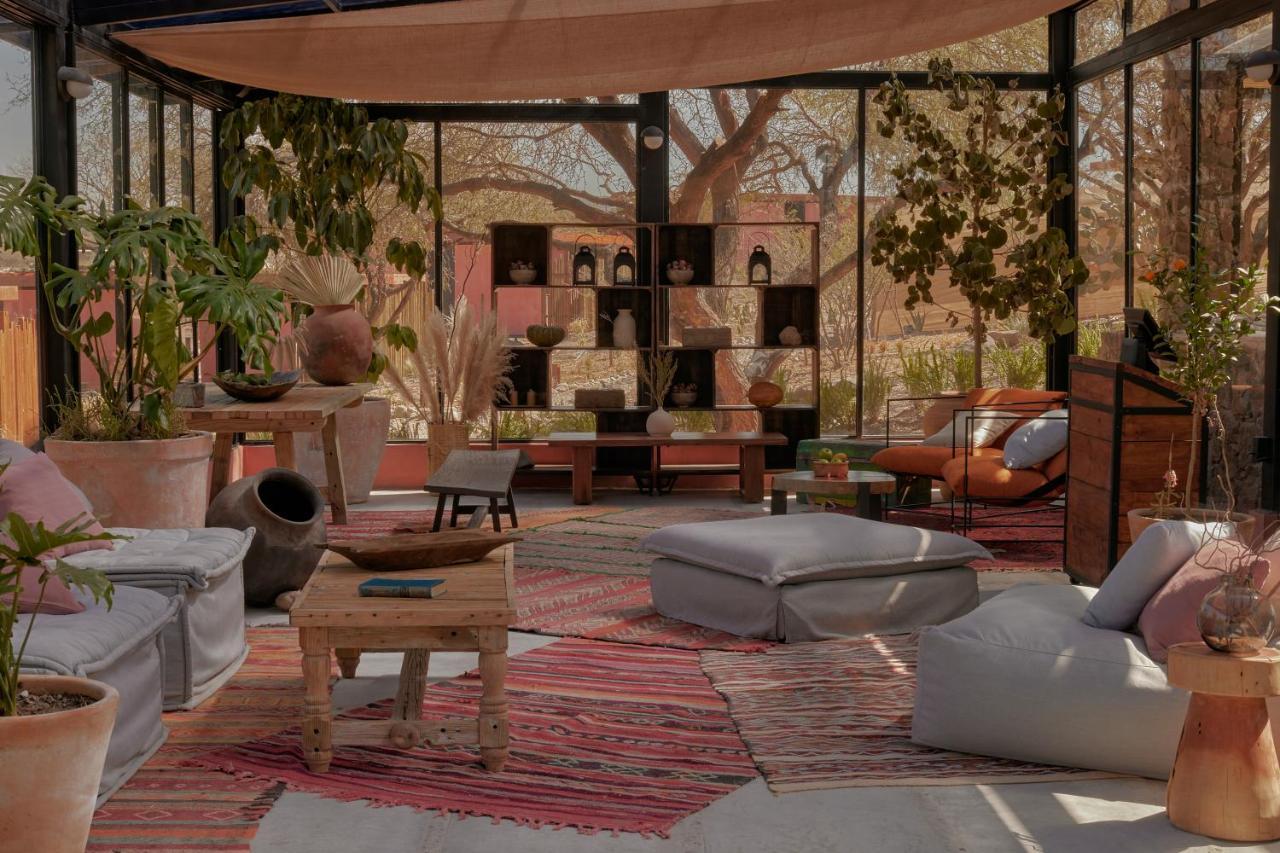 Our Habitas San Miguel De Allende Bandita Exterior photo