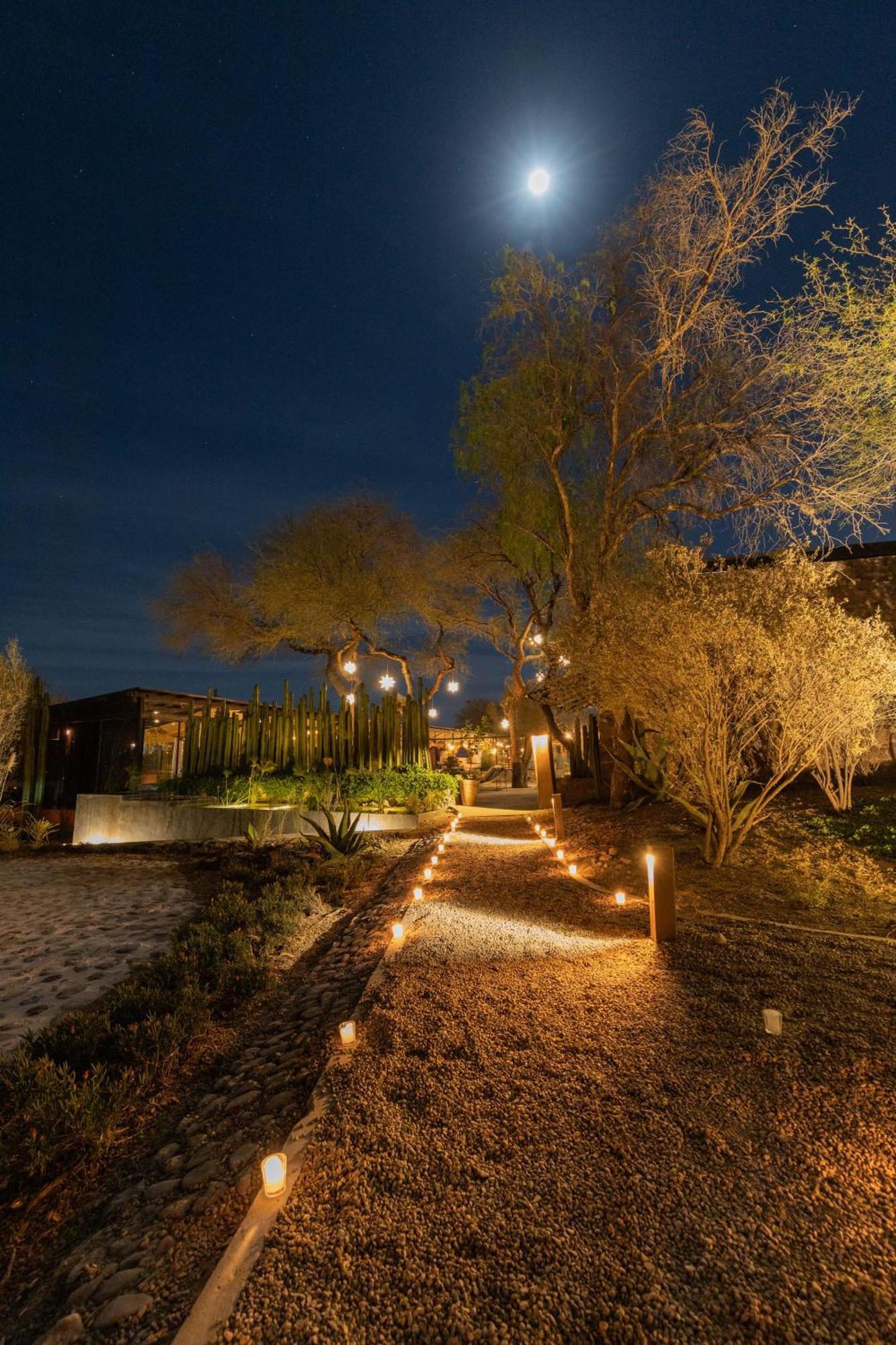 Our Habitas San Miguel De Allende Bandita Exterior photo